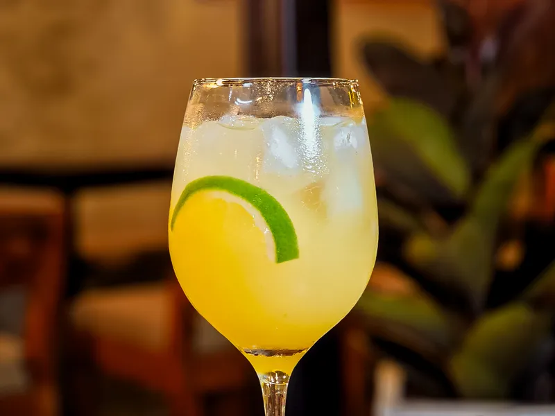 Mimosa Clásica